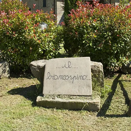 Biancospino Villa *